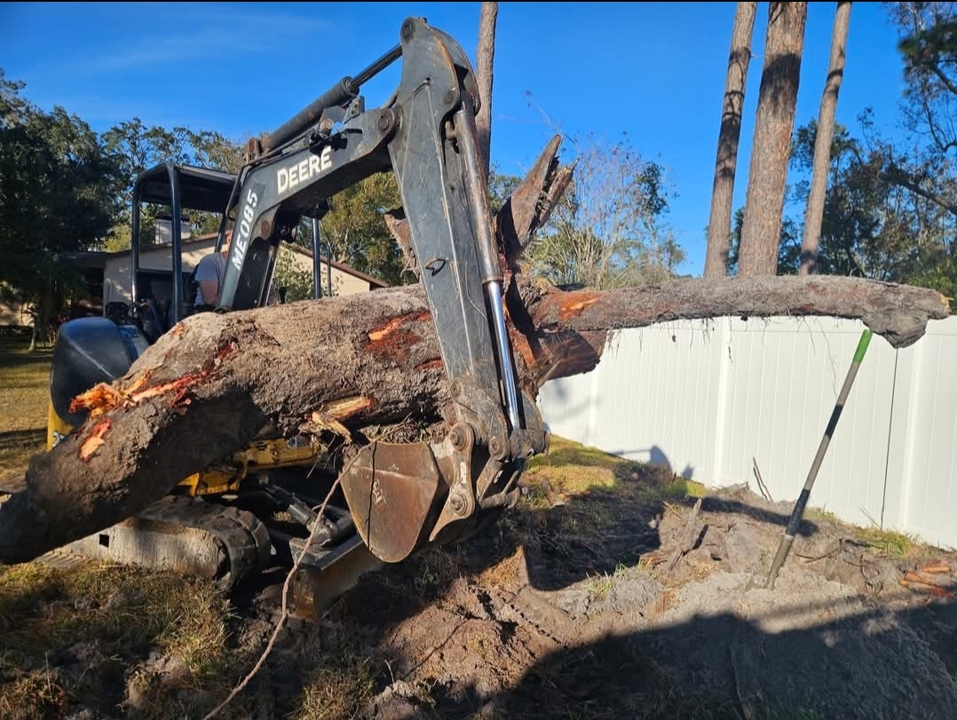 Land Clearing Service