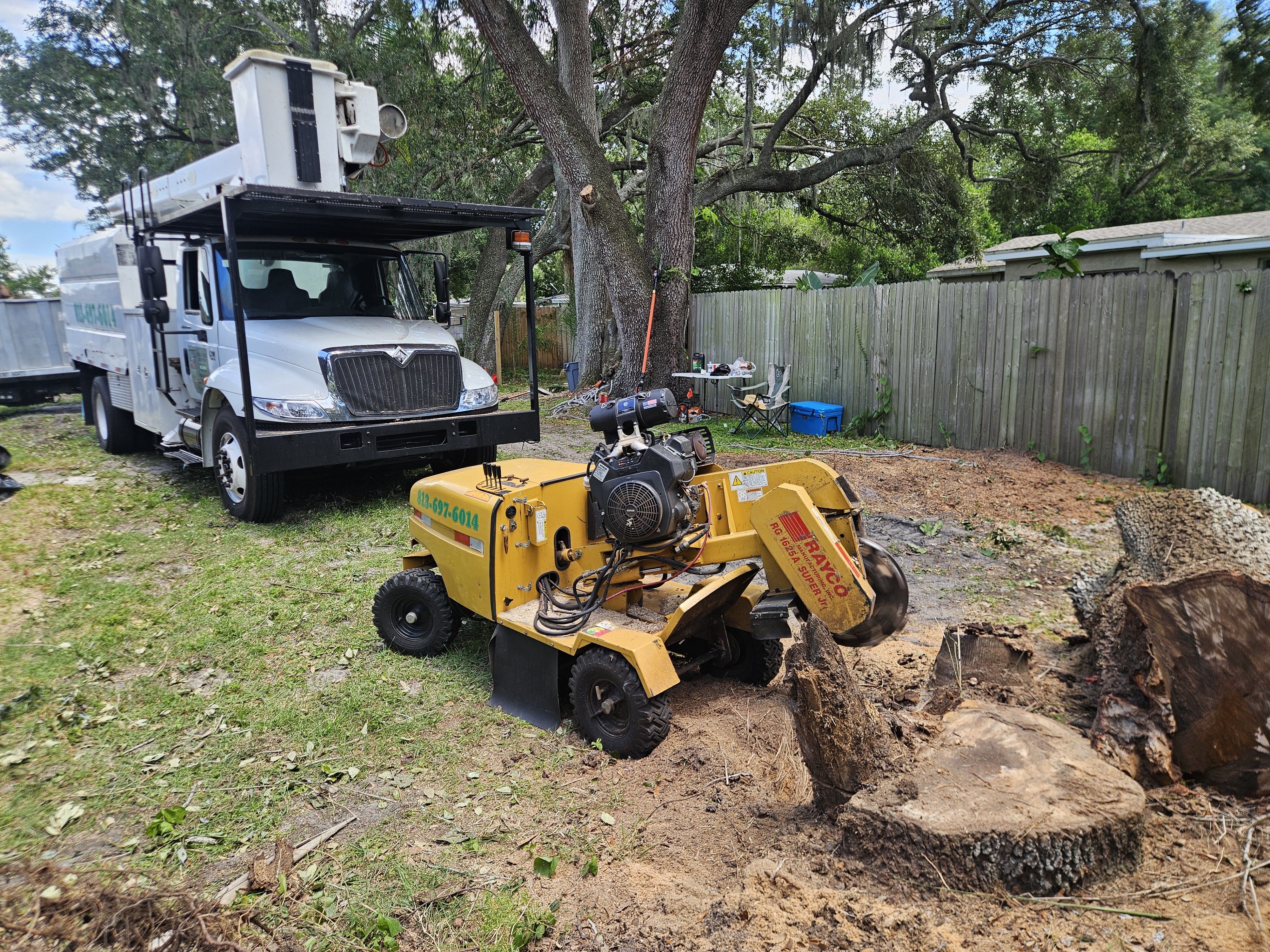 Stump Grinding Service
